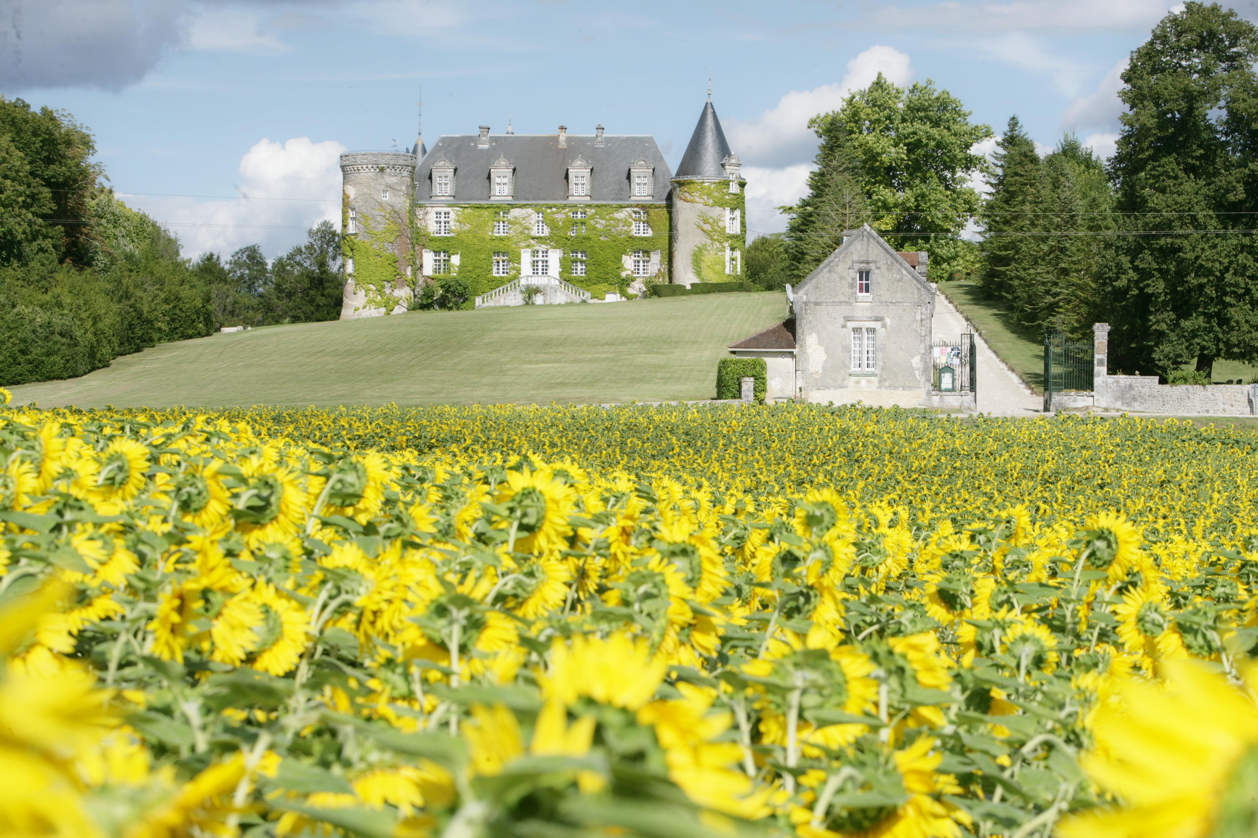 Hotel & Spa Chateau De La Cote - Brantome Biras Exterior foto