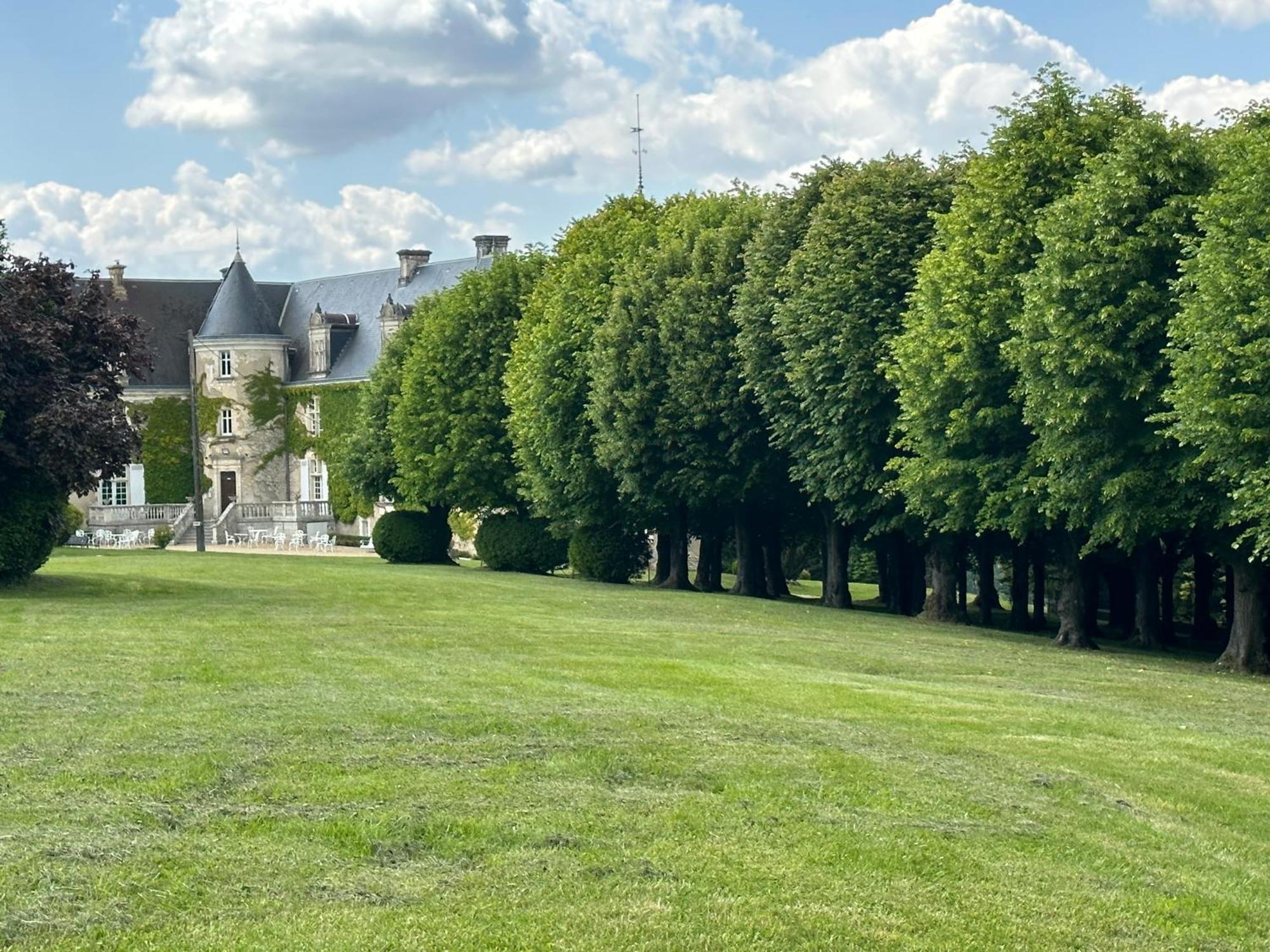 Hotel & Spa Chateau De La Cote - Brantome Biras Exterior foto