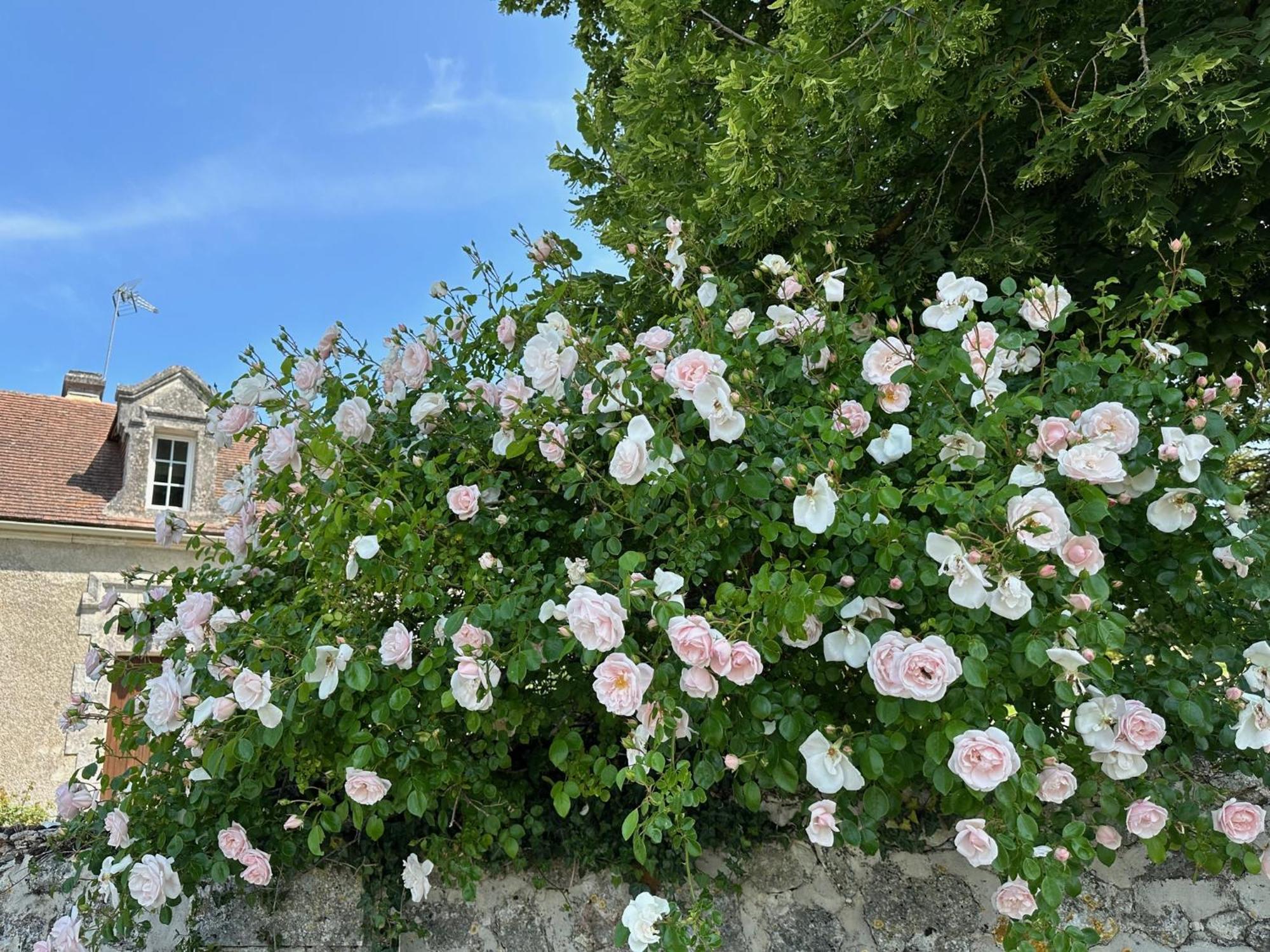 Hotel & Spa Chateau De La Cote - Brantome Biras Exterior foto